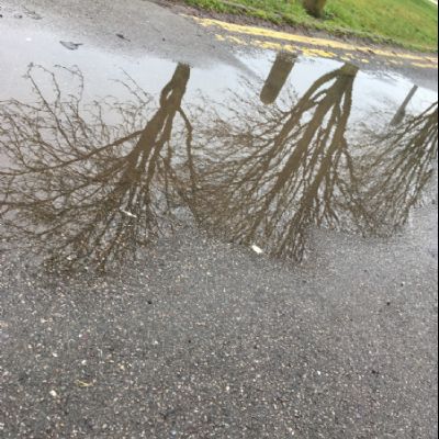 Megan Remy Francheska Amelia